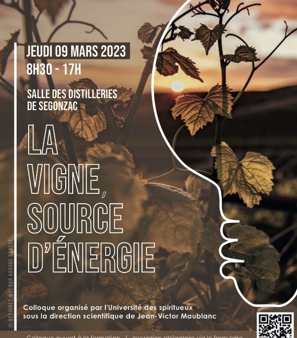 Colloque : “la Vigne, source d’énergie”